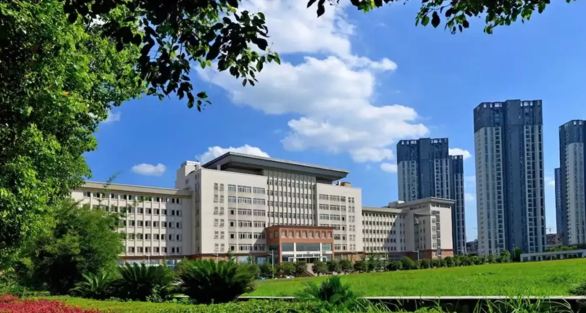 武汉理工大学项目